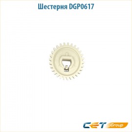 Шестерня DGP0617