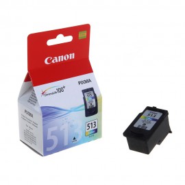 Картридж струйный Canon CL-513 | 2971B007 цветной 350 стр