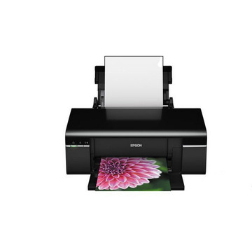 Картриджи для принтера Stylus Photo T59 Premium (Epson) и вся серия картриджей Epson T081