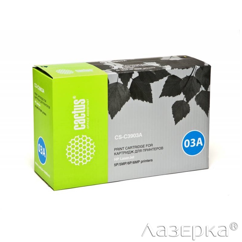 Кактус на белом фоне. Опунция кюрасавская. Кактус гросса. Опунция суккулент. Опунция кактус домашний плоский.