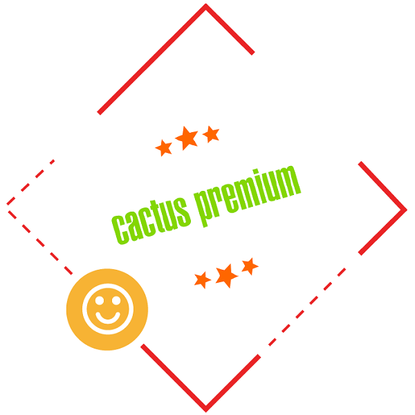 Cactus Premium (для ценящих комфорт)